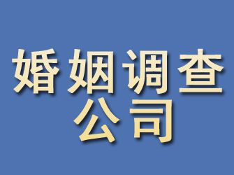 大余婚姻调查公司