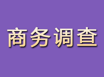 大余商务调查