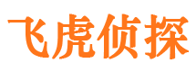 大余市场调查